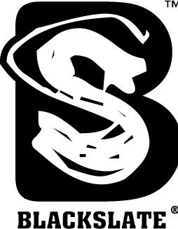 BlackSlate Holdings Group Limited